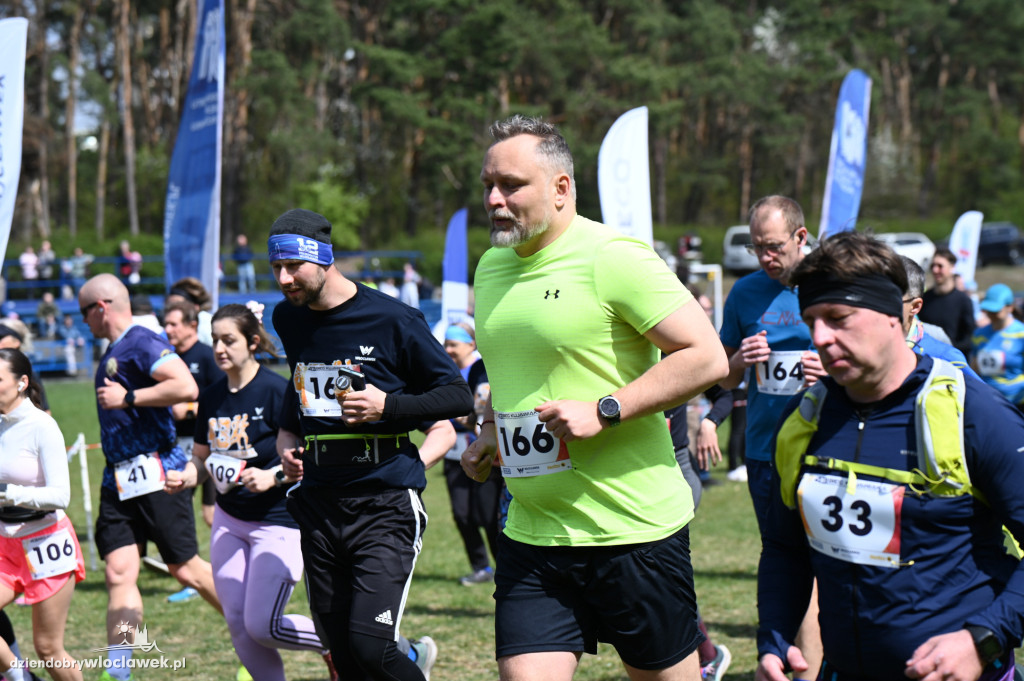 43. Bieg Kujawiaka we Włocławku: dorośli