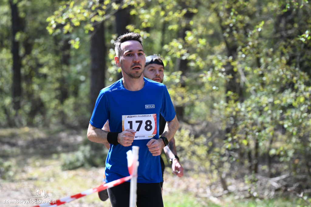 43. Bieg Kujawiaka we Włocławku: dorośli