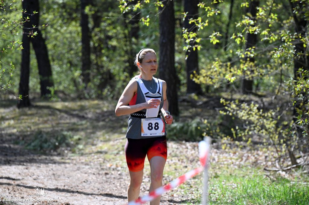 43. Bieg Kujawiaka we Włocławku: dorośli