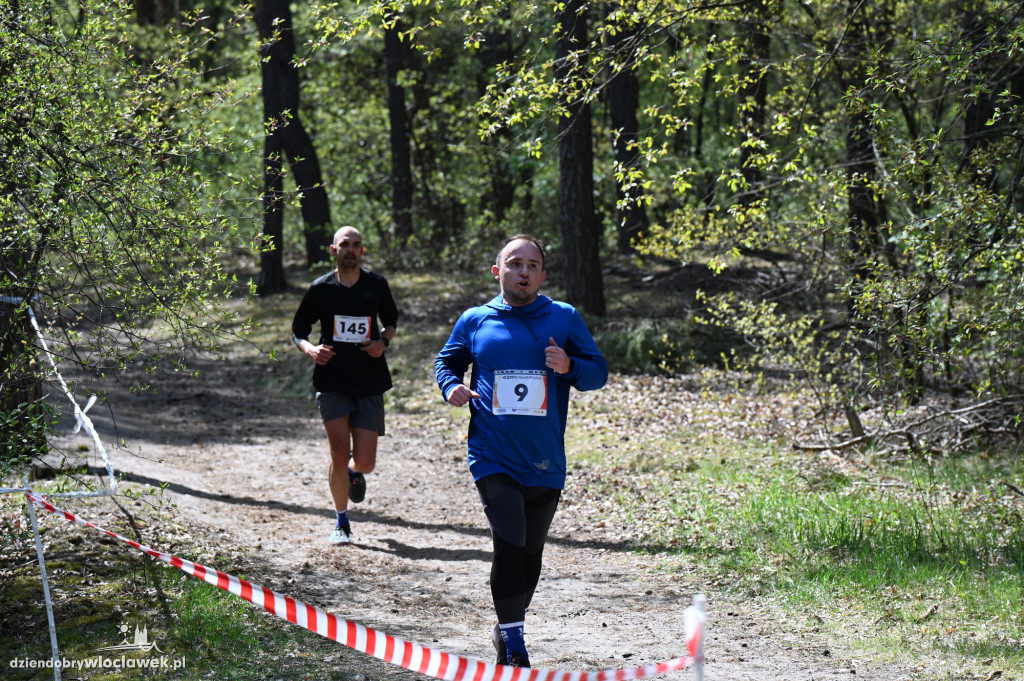 43. Bieg Kujawiaka we Włocławku: dorośli