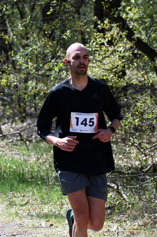43. Bieg Kujawiaka we Włocławku: dorośli