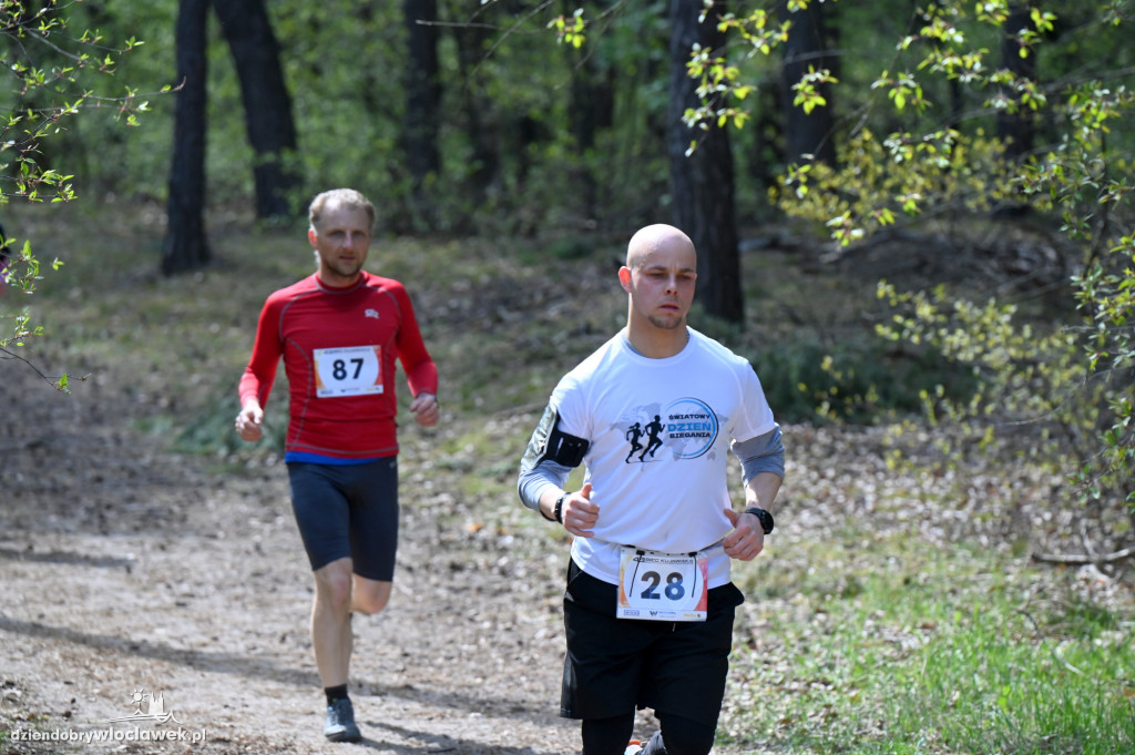 43. Bieg Kujawiaka we Włocławku: dorośli