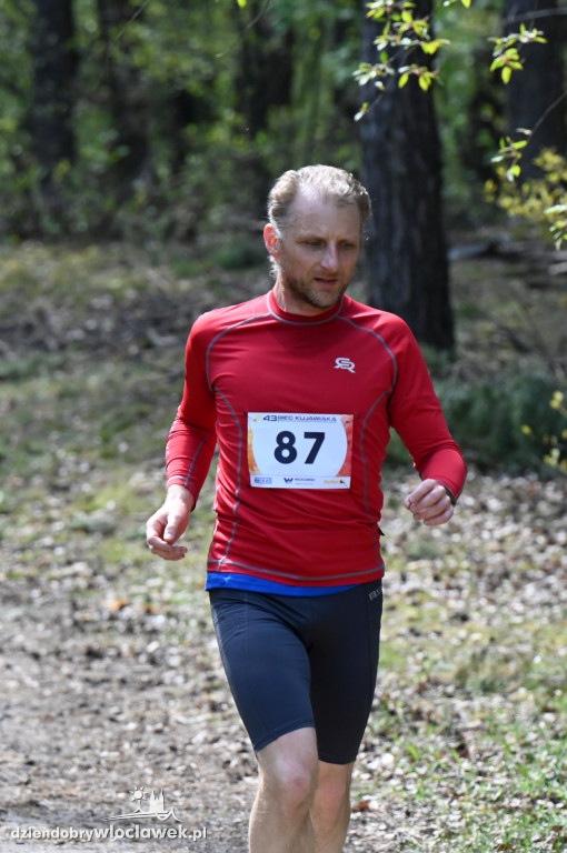 43. Bieg Kujawiaka we Włocławku: dorośli