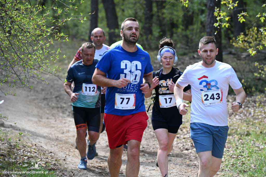 43. Bieg Kujawiaka we Włocławku: dorośli