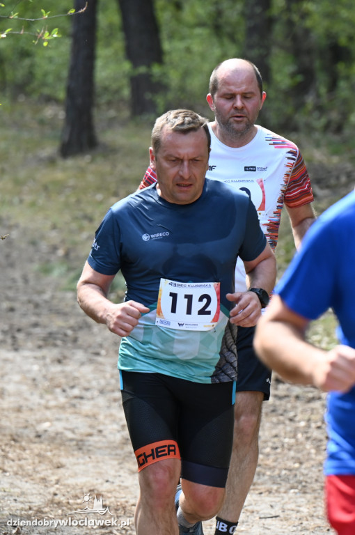 43. Bieg Kujawiaka we Włocławku: dorośli