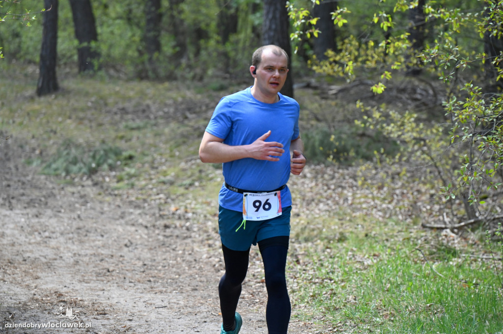 43. Bieg Kujawiaka we Włocławku: dorośli