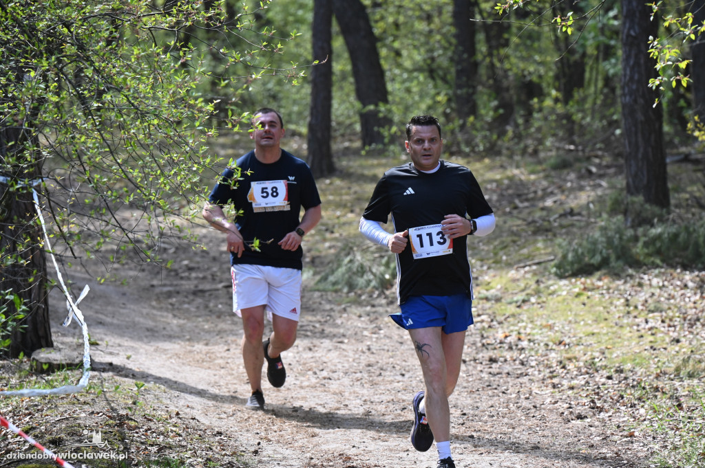 43. Bieg Kujawiaka we Włocławku: dorośli