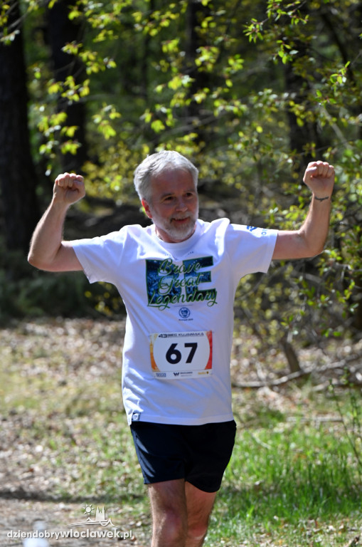 43. Bieg Kujawiaka we Włocławku: dorośli