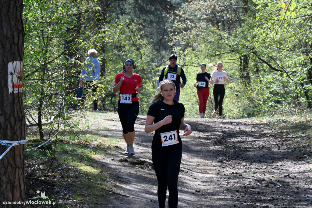 43. Bieg Kujawiaka we Włocławku: dorośli