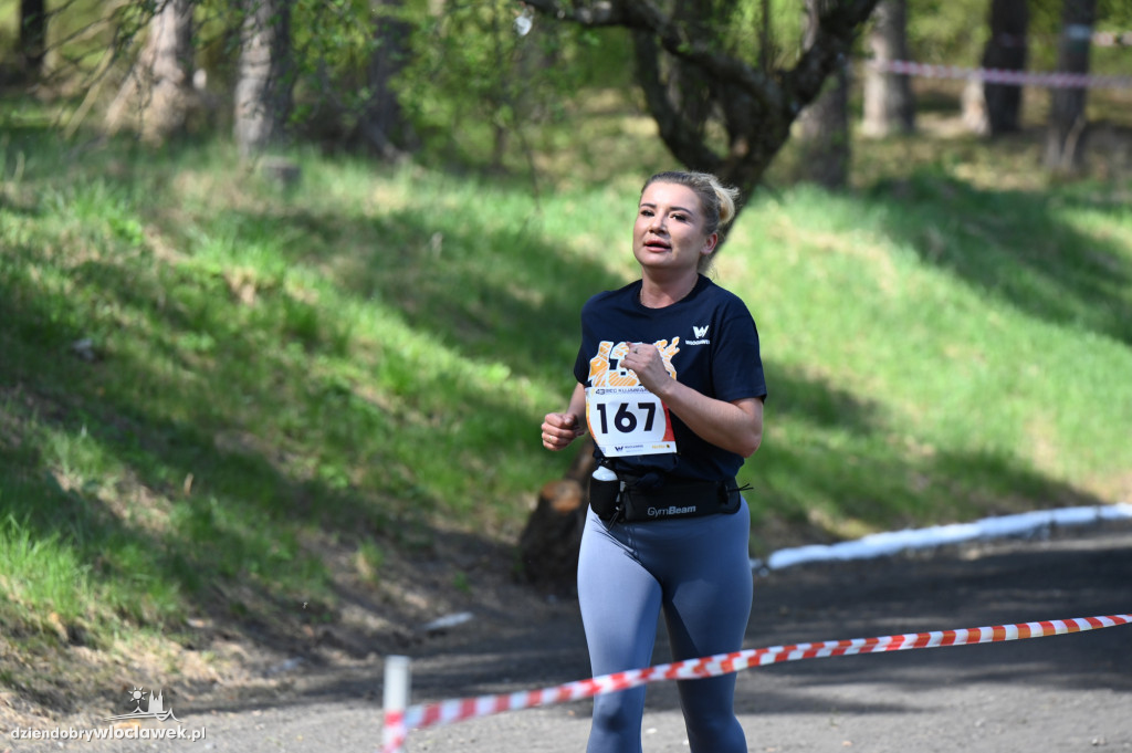 43. Bieg Kujawiaka we Włocławku: dorośli