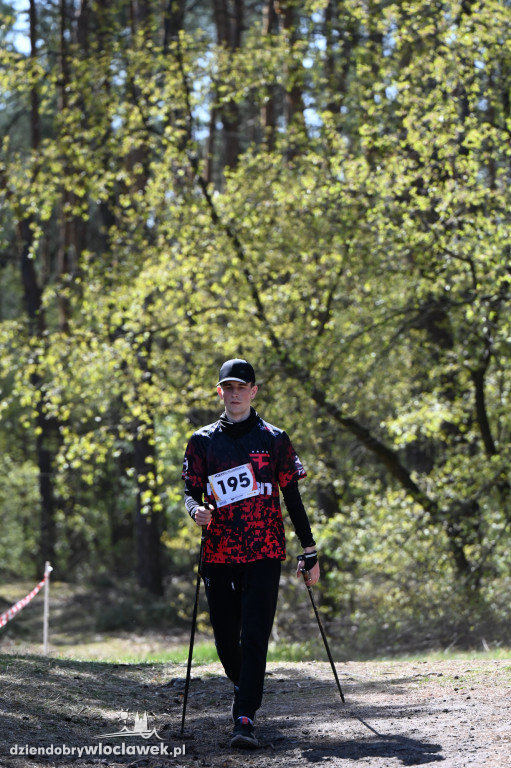 43. Bieg Kujawiaka we Włocławku: dorośli