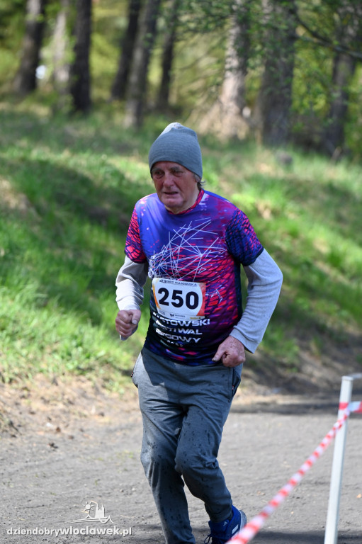 43. Bieg Kujawiaka we Włocławku: dorośli