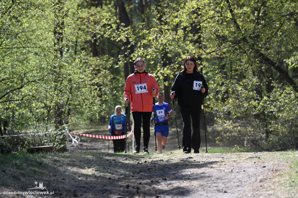 43. Bieg Kujawiaka we Włocławku: dorośli