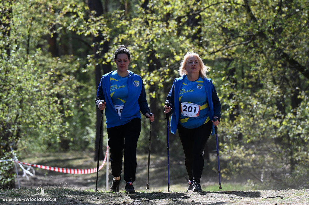 43. Bieg Kujawiaka we Włocławku: dorośli