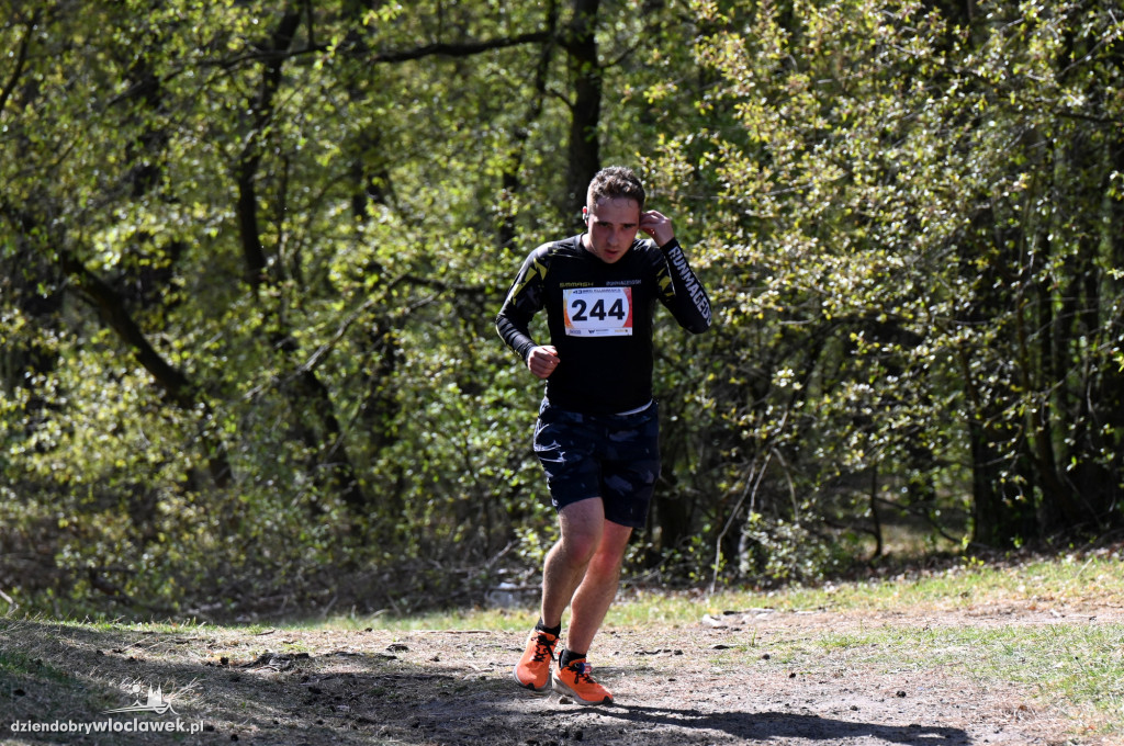 43. Bieg Kujawiaka we Włocławku: dorośli