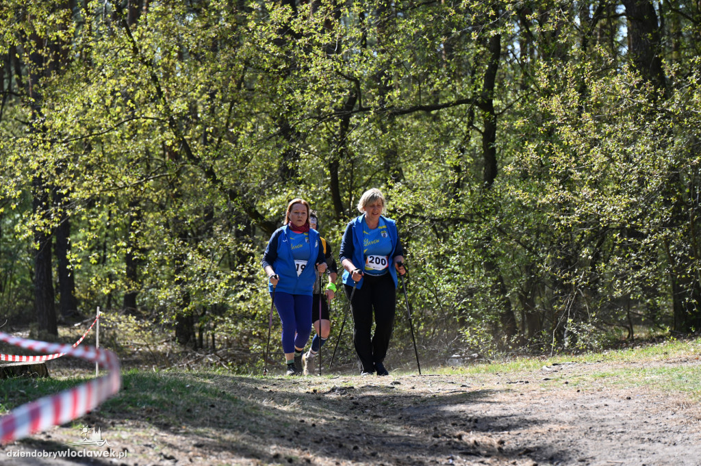 43. Bieg Kujawiaka we Włocławku: dorośli