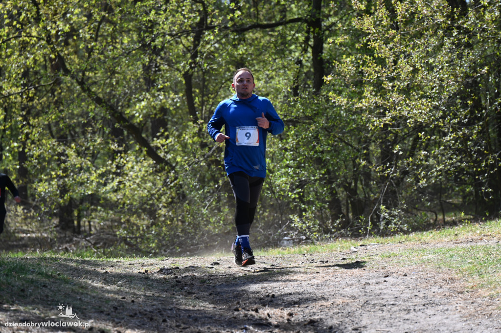 43. Bieg Kujawiaka we Włocławku: dorośli