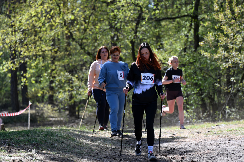 43. Bieg Kujawiaka we Włocławku: dorośli