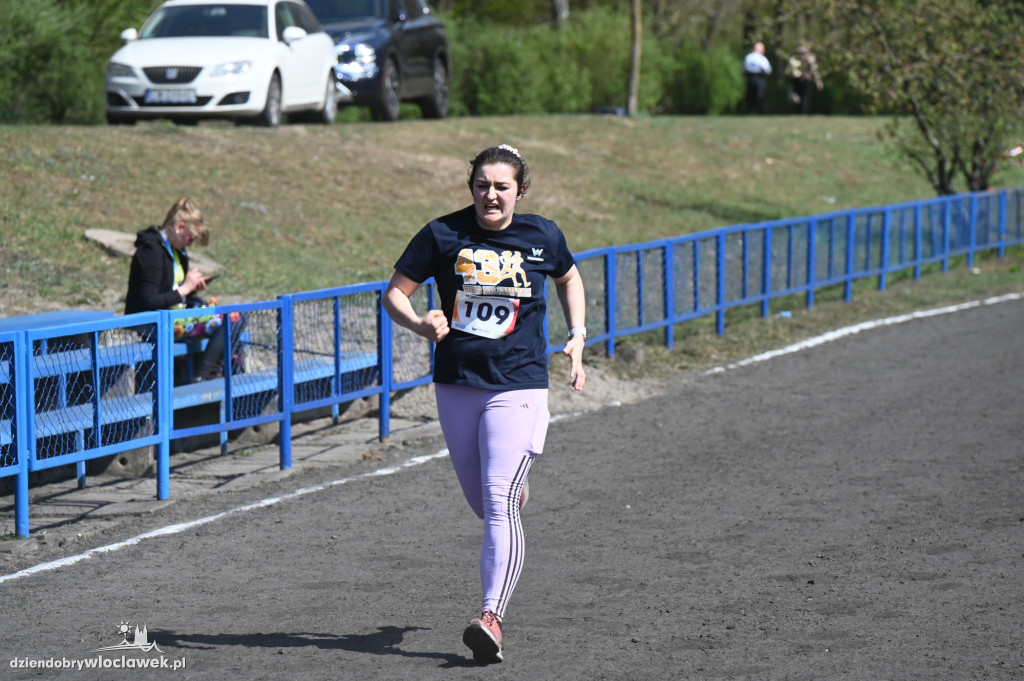 43. Bieg Kujawiaka we Włocławku: dorośli