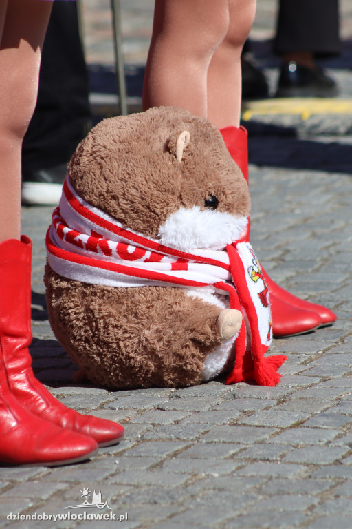 Festiwal 3 Maja 2026: Przegląd Orkiestr Dętych we Włocławku
