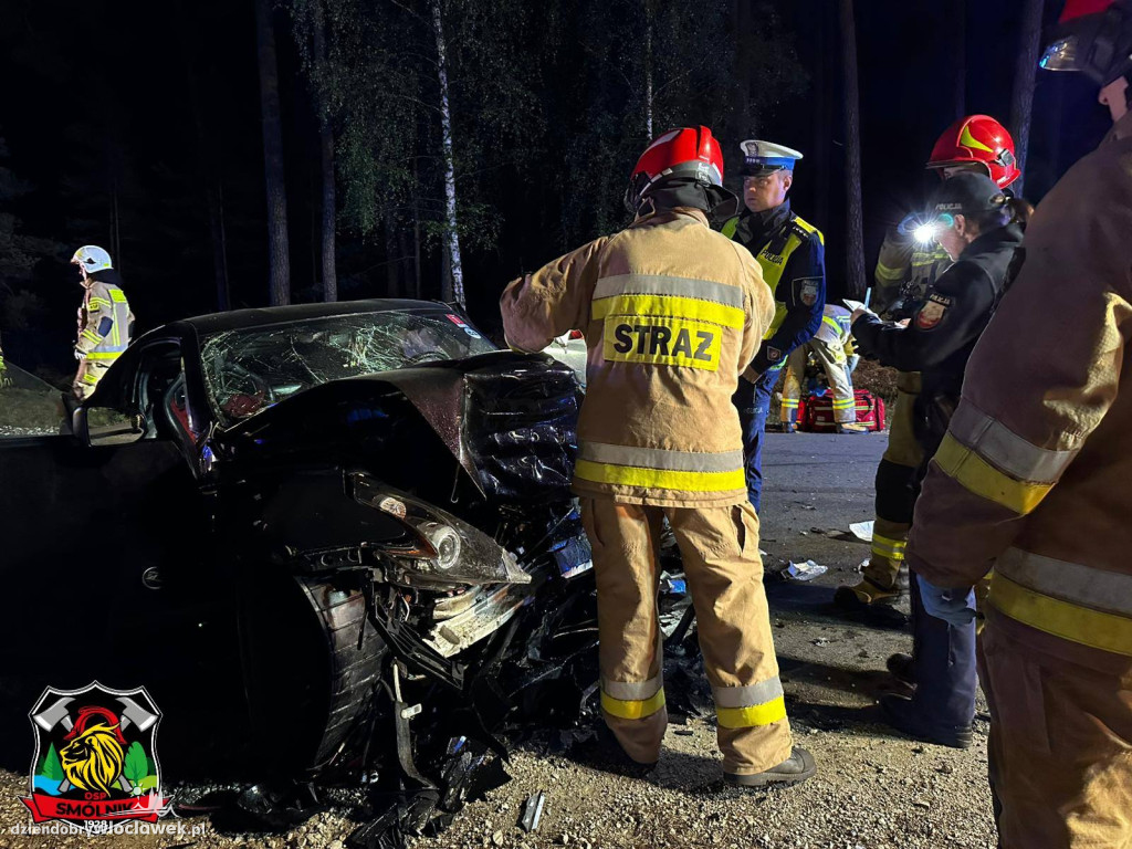 Wypadek na trasie Telążna Leśna - Dębniaki