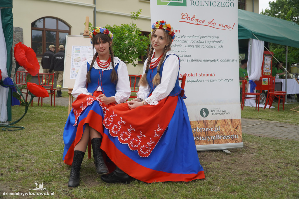 Święto Żuru w Brześciu Kujawskim
