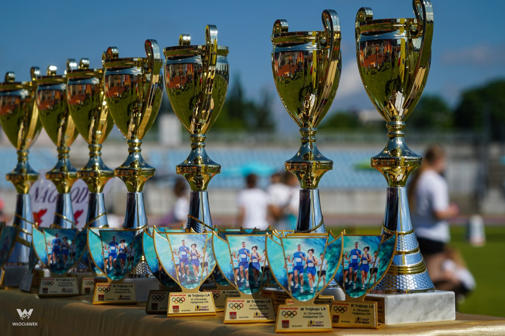 XI Olimpiada Hefajstosa we Włocławku
