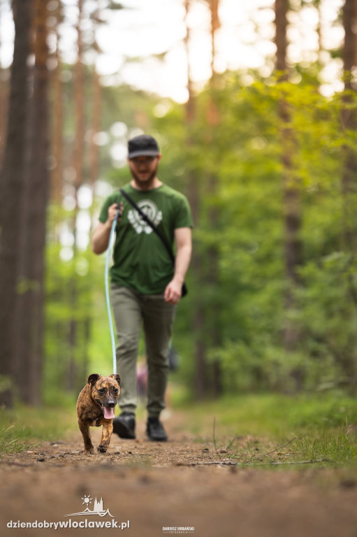 Bieg na 6 łap we Włocławku