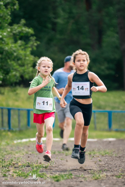III ETAP VLADISLAVIA CROSS 2026