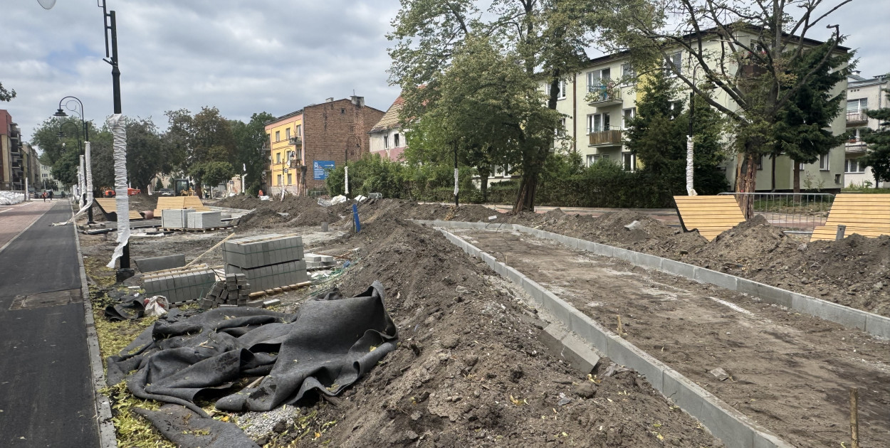 Zielone Tereny Śródmieścia zgłoszone do odbioru
