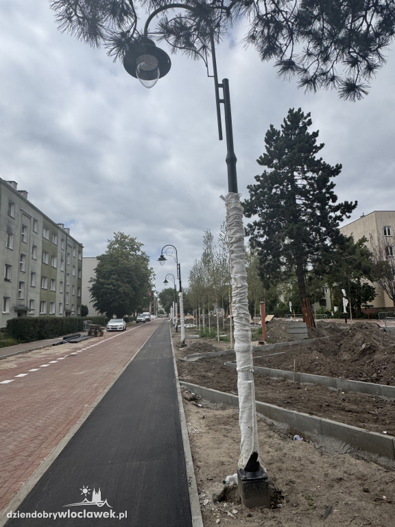Zielone Tereny Śródmieścia zgłoszone do odbioru