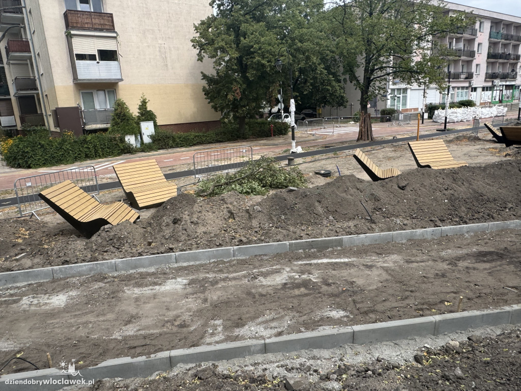 Zielone Tereny Śródmieścia zgłoszone do odbioru