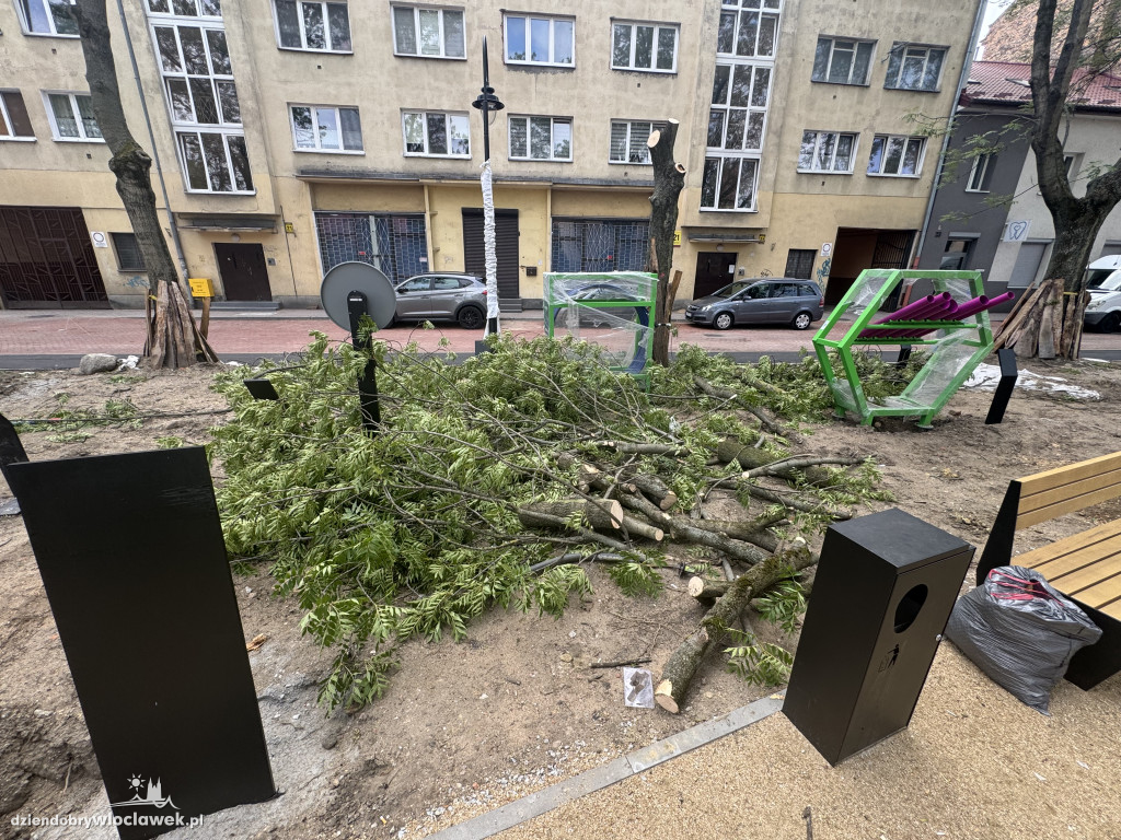 Zielone Tereny Śródmieścia zgłoszone do odbioru
