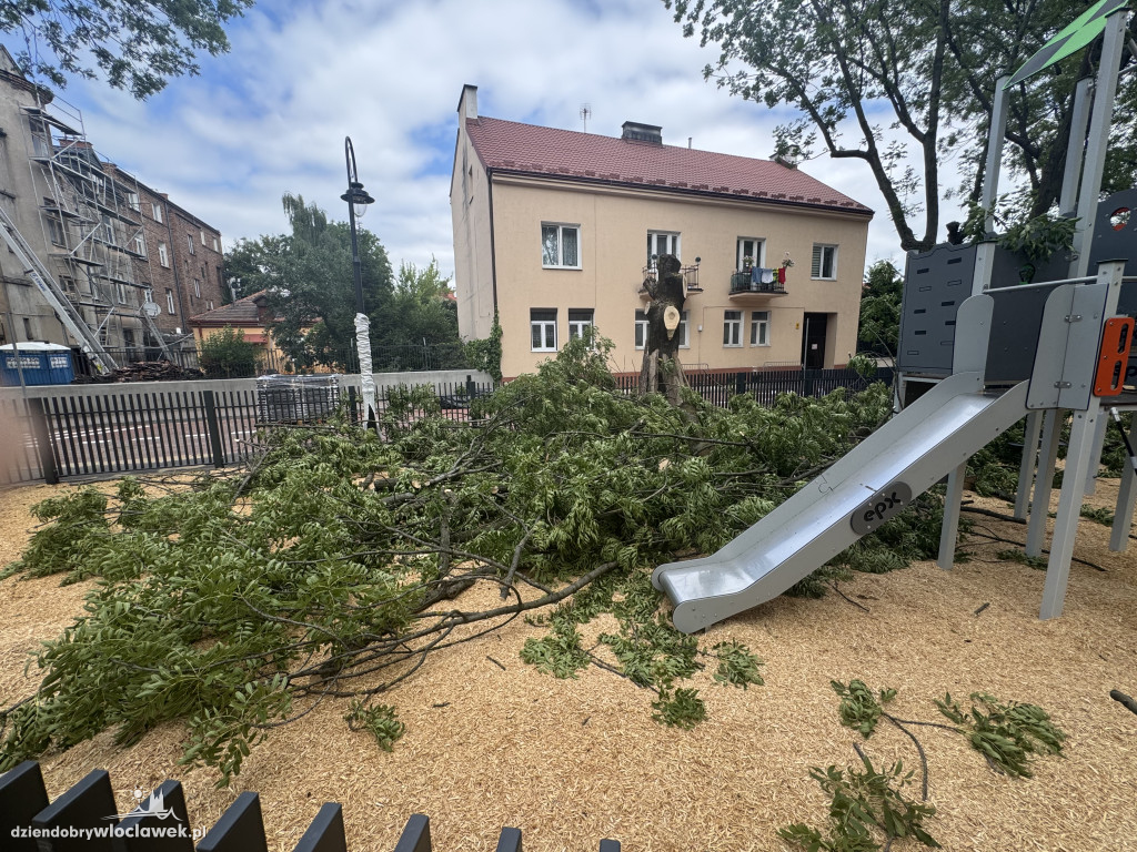 Zielone Tereny Śródmieścia zgłoszone do odbioru