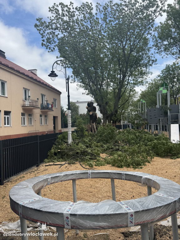 Zielone Tereny Śródmieścia zgłoszone do odbioru
