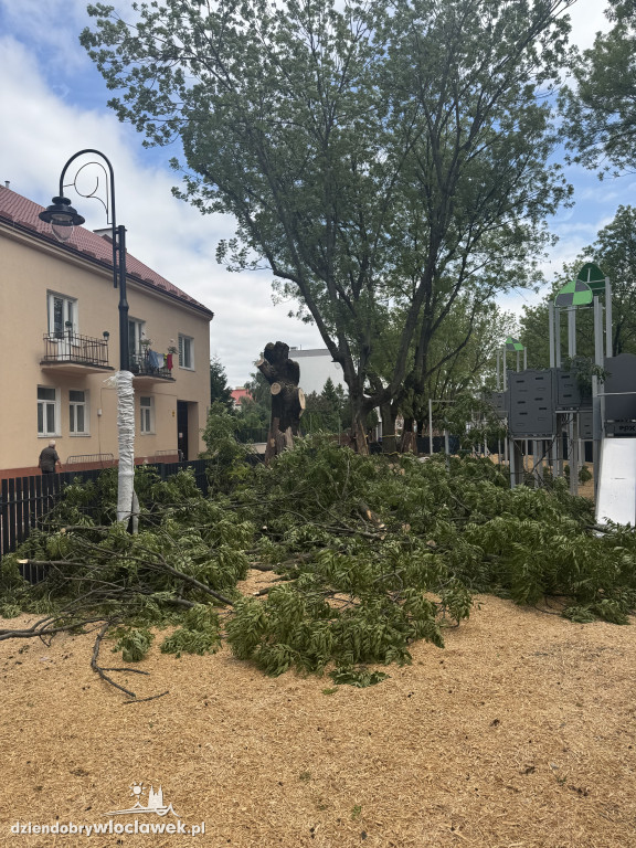 Zielone Tereny Śródmieścia zgłoszone do odbioru