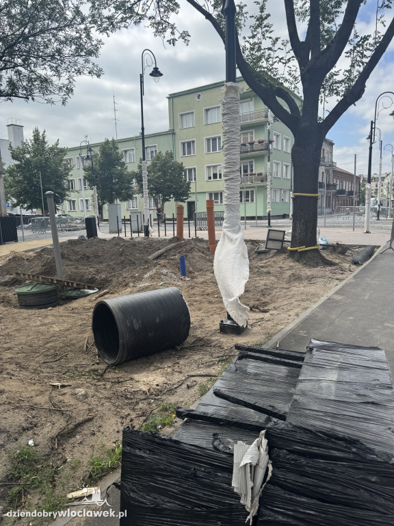 Zielone Tereny Śródmieścia zgłoszone do odbioru