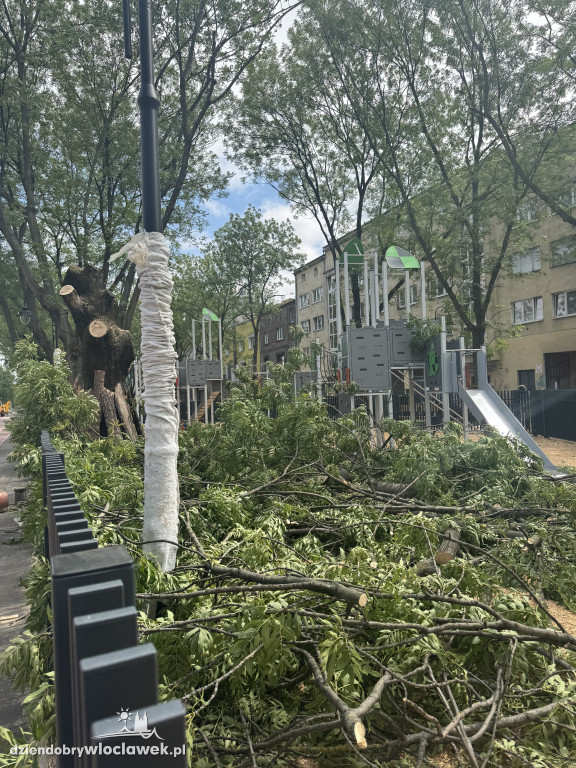 Zielone Tereny Śródmieścia zgłoszone do odbioru