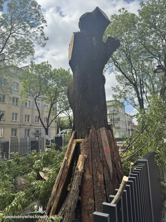 Zielone Tereny Śródmieścia zgłoszone do odbioru