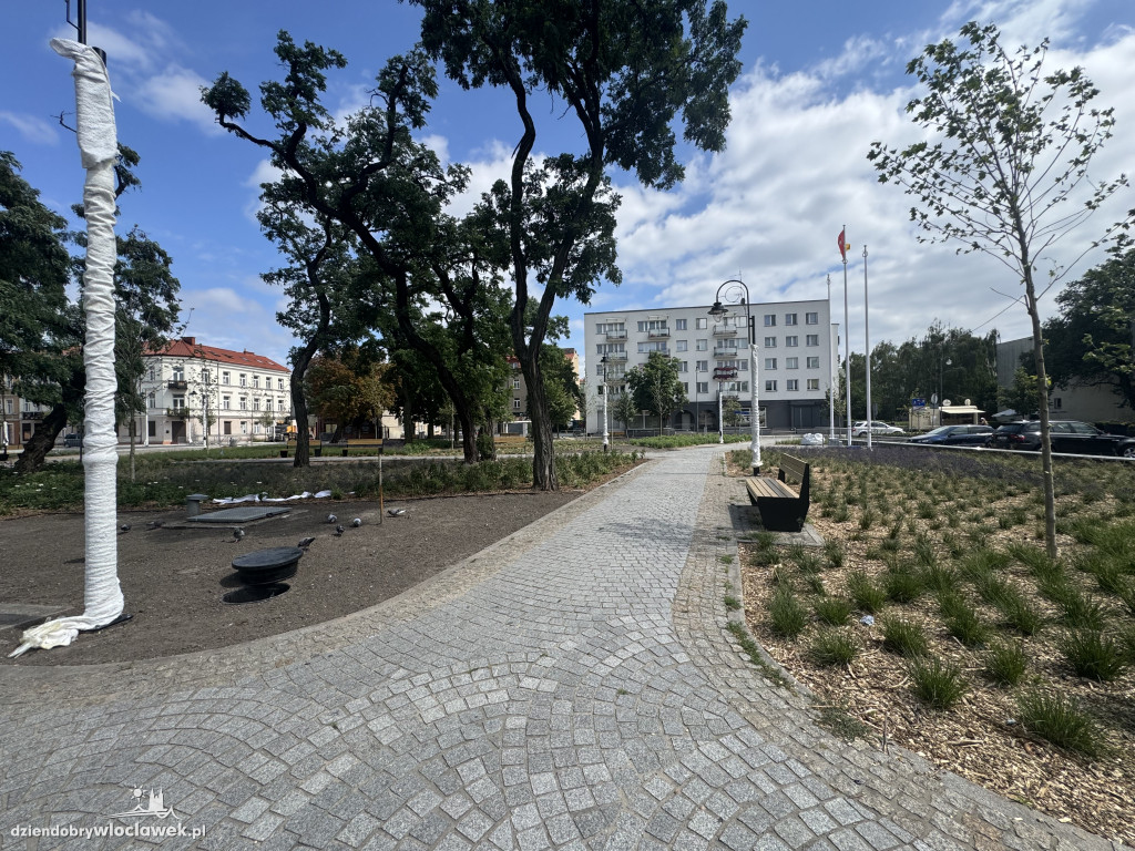 Zielone Tereny Śródmieścia zgłoszone do odbioru