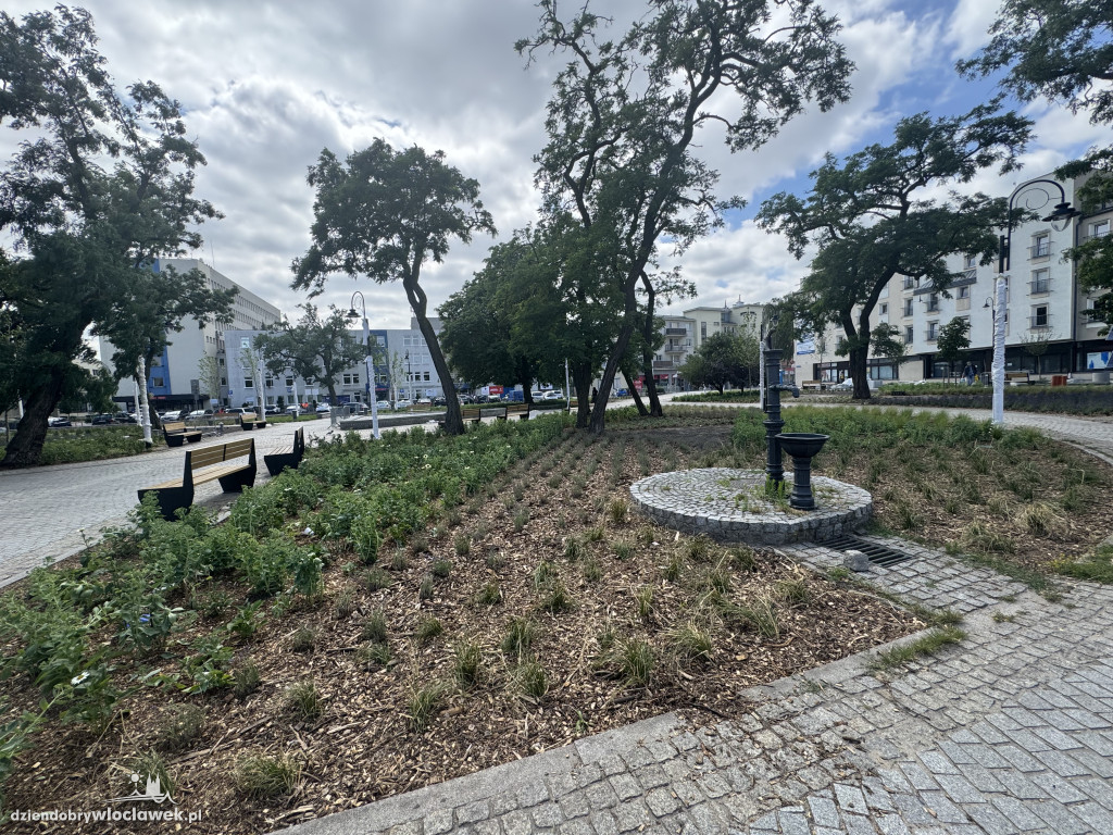Zielone Tereny Śródmieścia zgłoszone do odbioru