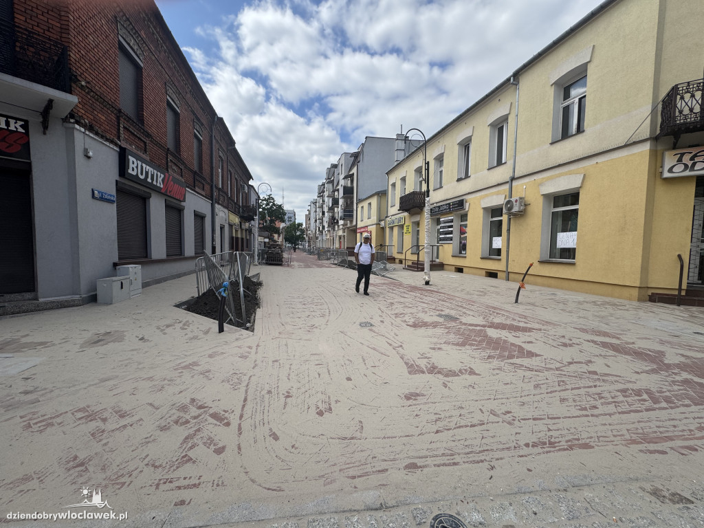 Zielone Tereny Śródmieścia zgłoszone do odbioru