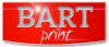 Logo firmy BART Bartosz Staiszyński