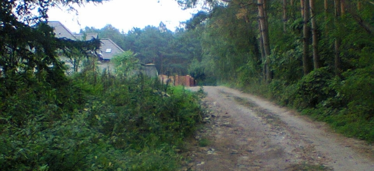 Droga w Nowym Witoszynie, na której mieszkańcy domagają się położenia asfaltu. Fot. nadesłane