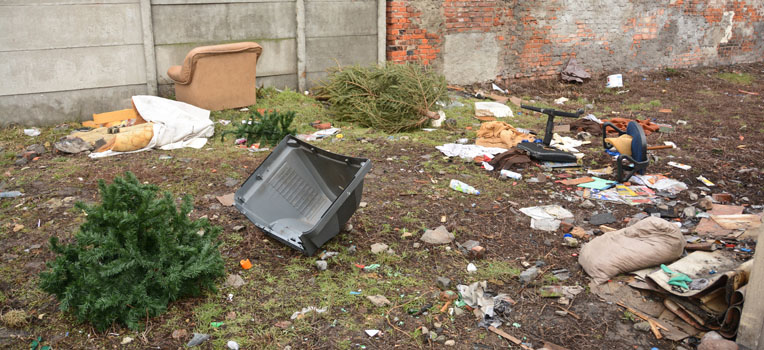 Niektórzy włocławianie wyrzucają śmieci na trawnik. Na zdjęciu dzikie wysypisko w okolicy bulwarów. fot. Łukasz Daniewski