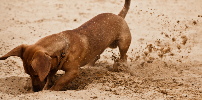 depositphotos.com