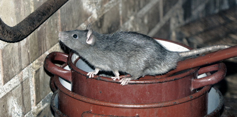 depositphotos.com