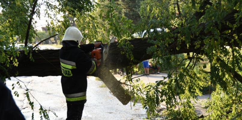 Nawałnica wyrządziła wiele szkód w regionie; Fot. Archiwum DDWloclawek.pl