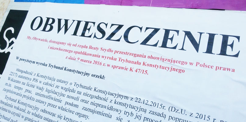 Plakaty pojawiły się na 36 słupach ogłoszeniowych we Włocławku. fot. Łukasz Daniewski
