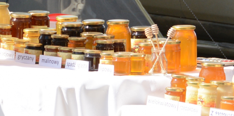 Podczas imprezy będzie można skosztować najróżniejszych rodzajów miodu i poznać życie pszczół. Fot. Krzysztof Osiński